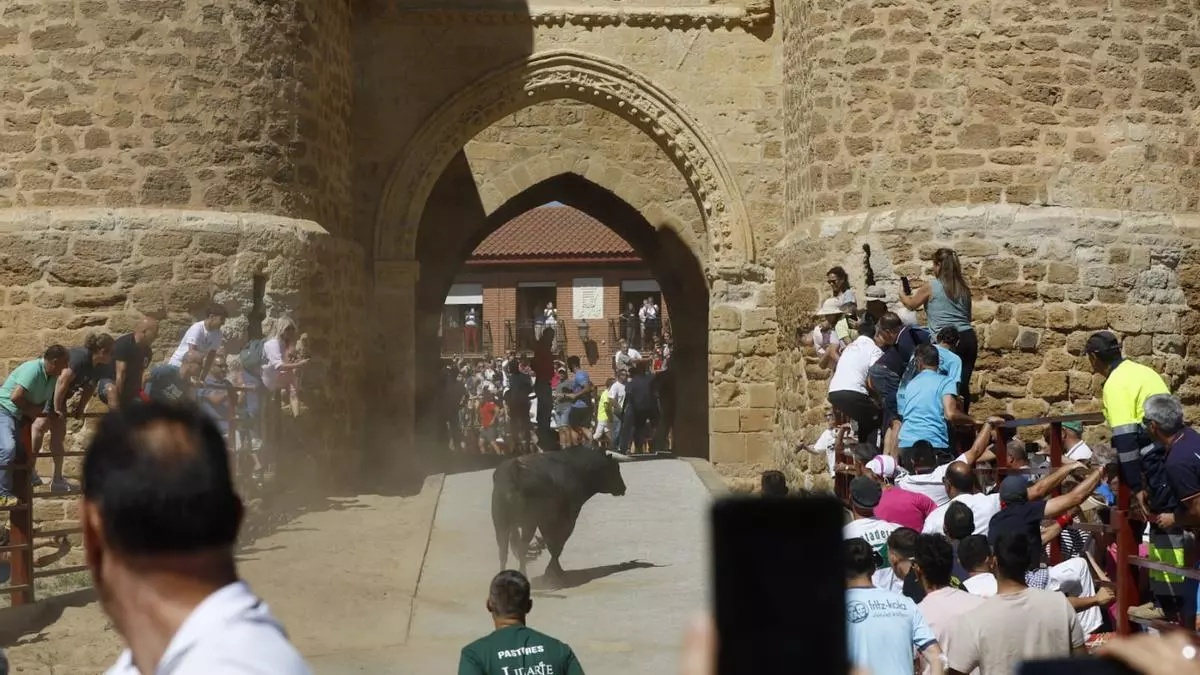 Villalpando, pura esencia taurina en el campo y el asfalto