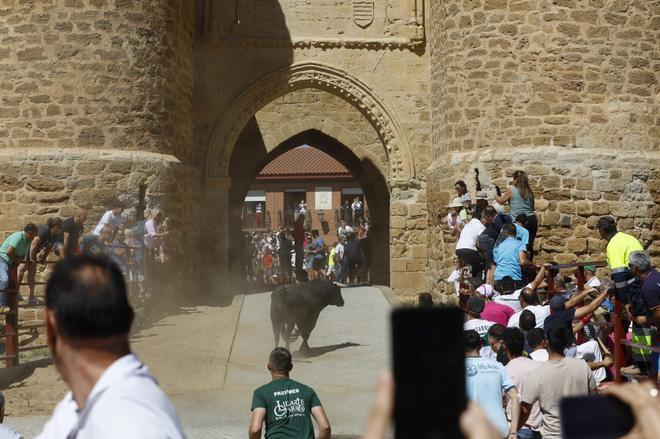 GALERÍA | Día de toros en Villalpando, entre el campo y la Puerta Villa
