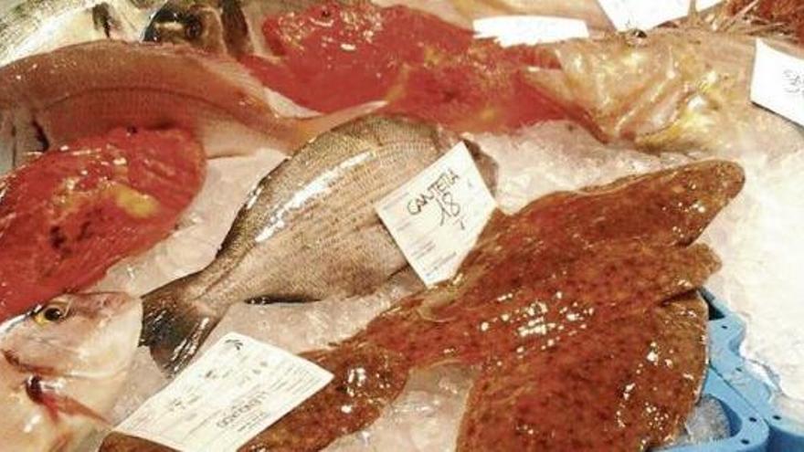 El mercat de Palamós posa en valor la qualitat dels seus productes de proximitat