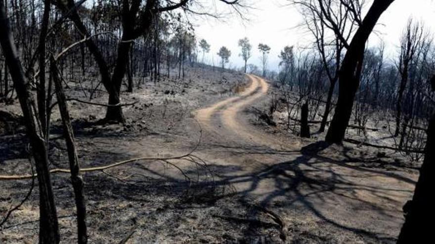 Montes calcinados y un manto de cenizas recubren las inmediaciones de la aldea de Seadur, en Larouco, que estuvo en peligro.  // Brais Lorenzo