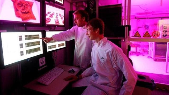 Conoce cuáles son los siete trabajos más felices del mundo