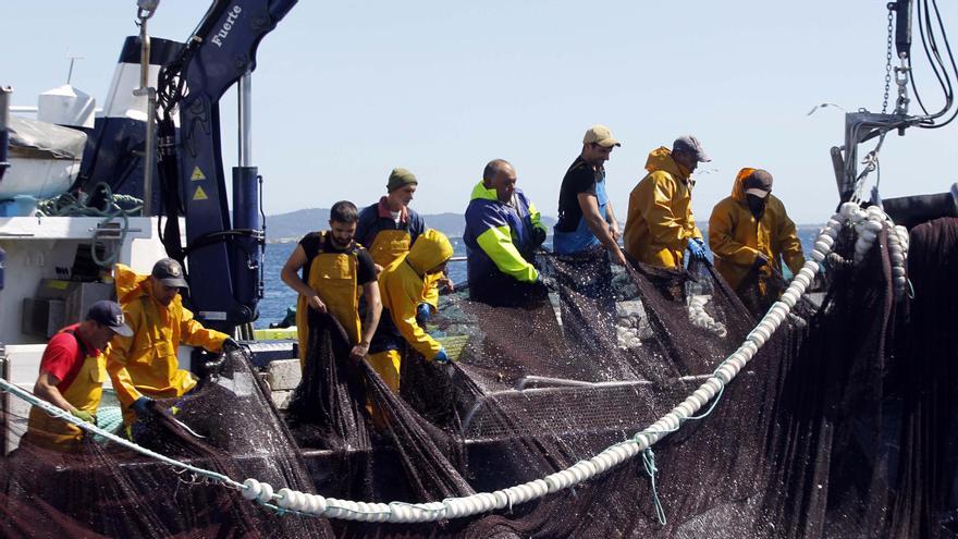 Pescadores del cerco gallego en plena faena en la ría de Arousa