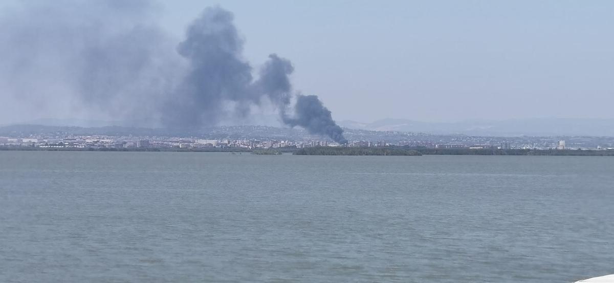 Columna del humo del incendio en Silla, vista desde la Albufera