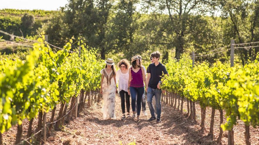 L’enoturisme al Bages puja de grau i mostra una tendència creixent