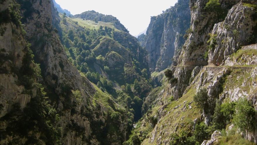 Grave desprendimiento en la Ruta del Cares: hay tres montañeros heridos, uno de ellos muy grave