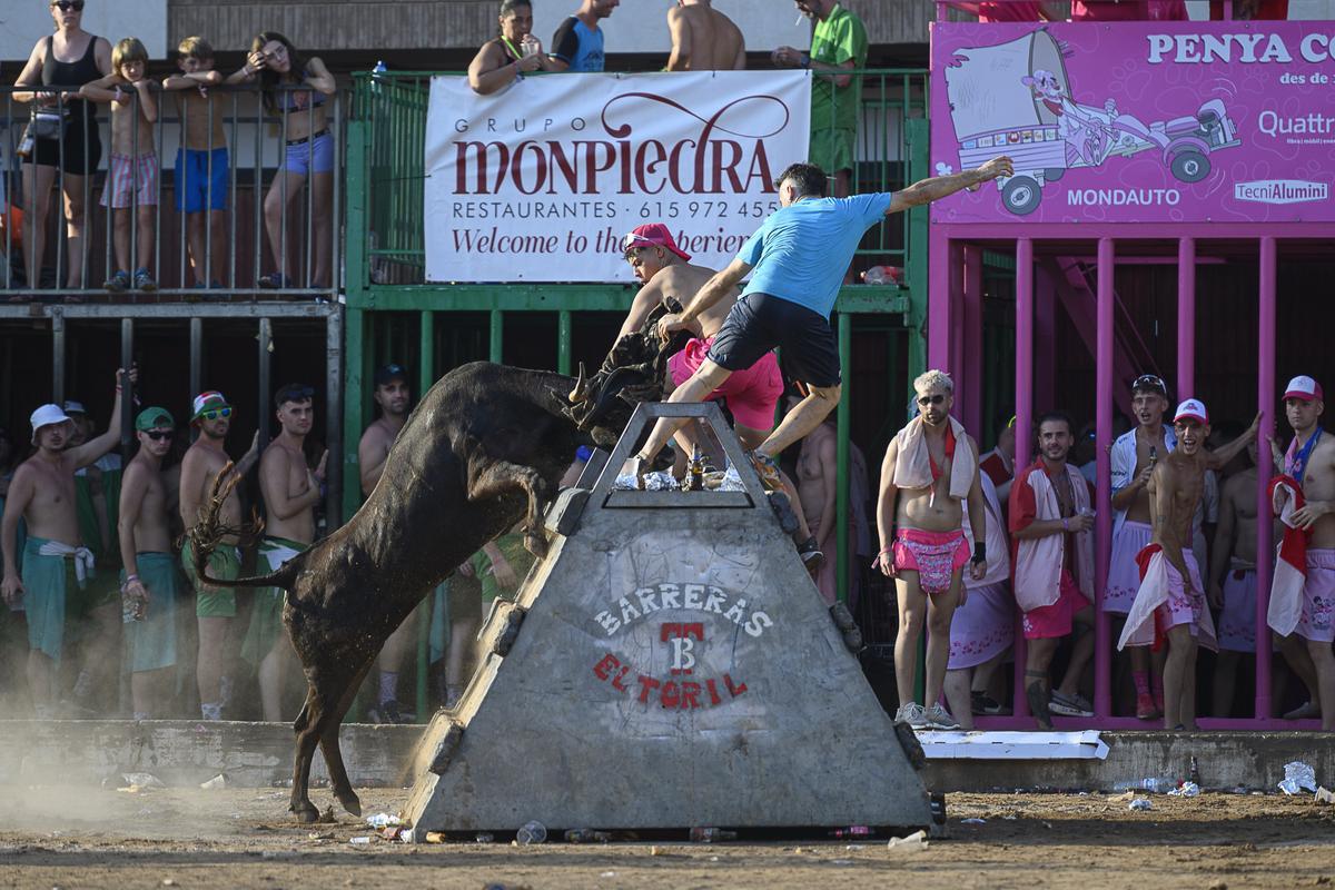 Algunos de los mejores momentos que ha ofrecido el ganado de Fernando Machancoses en les Penyes de la Vall