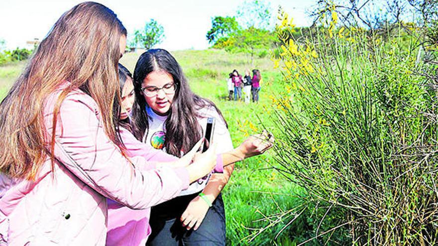 Competició internacional de biodiversitat a Banyoles