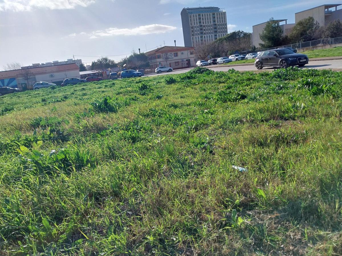 Parcelas en Tulell junto a otras instalaciones deportivas.