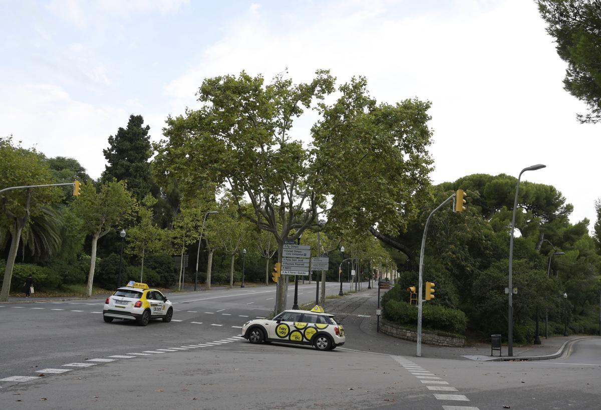 Coches de autoescuela dando vueltas por Montjuïc, un clásico de la montaña. En la imagen, la avenida del Estadi, donde está previsto un carril bici