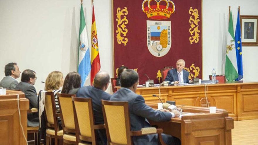 Imagen del pleno en Torremolinos.