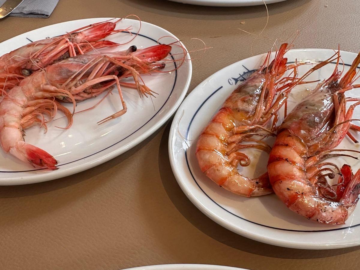 Gambas cocidas y a la brasa, las dos cocciones en las que se sirve en Casa Pescadores-Denia