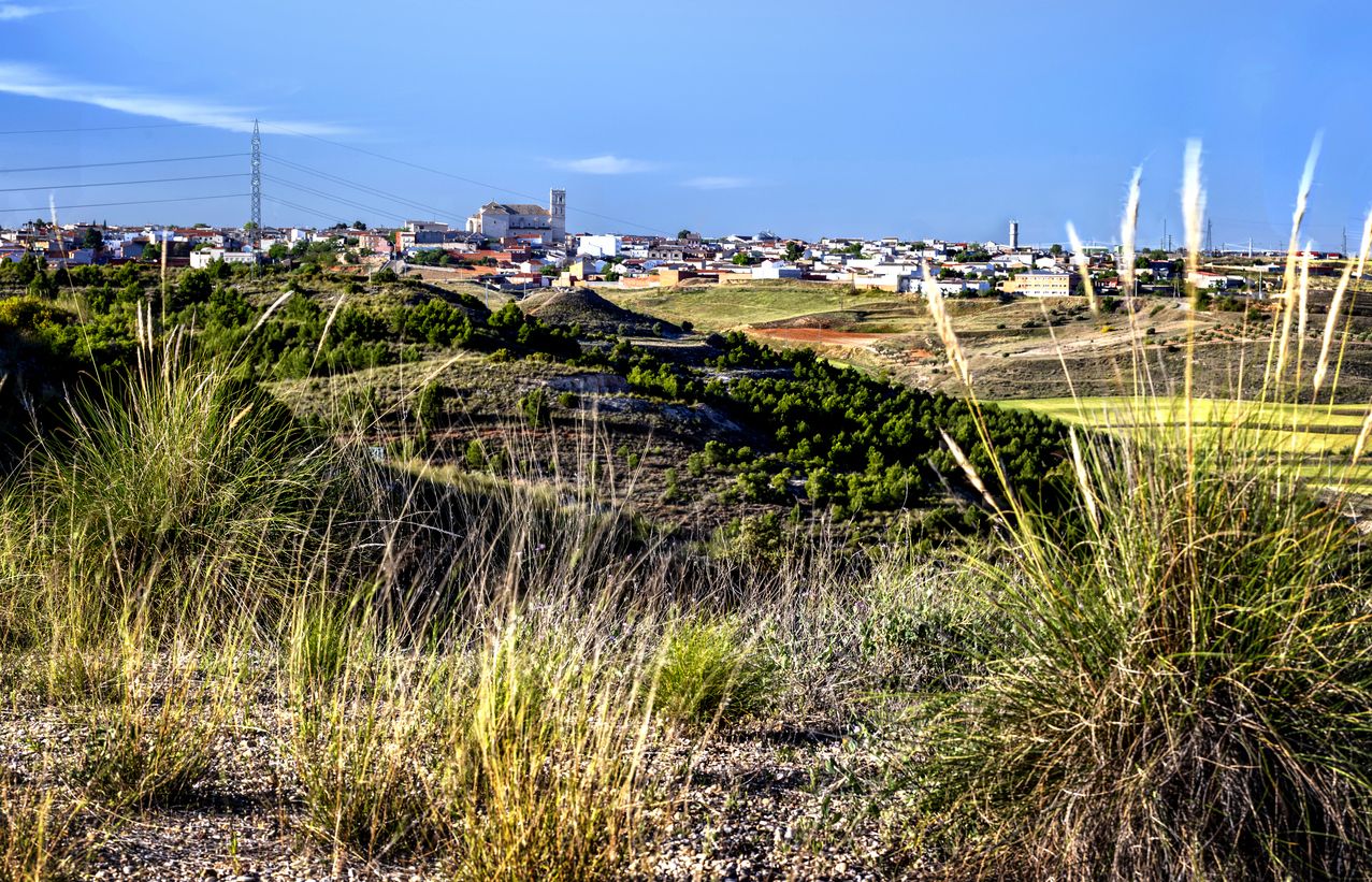 Campos en primavera y Villarrubia de Santiago.