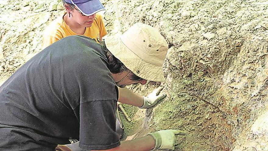 Paleontología de campo al alcance de escolares