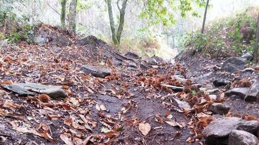 Una imagen de la trampa camuflada en el monte. // Masa Crítica