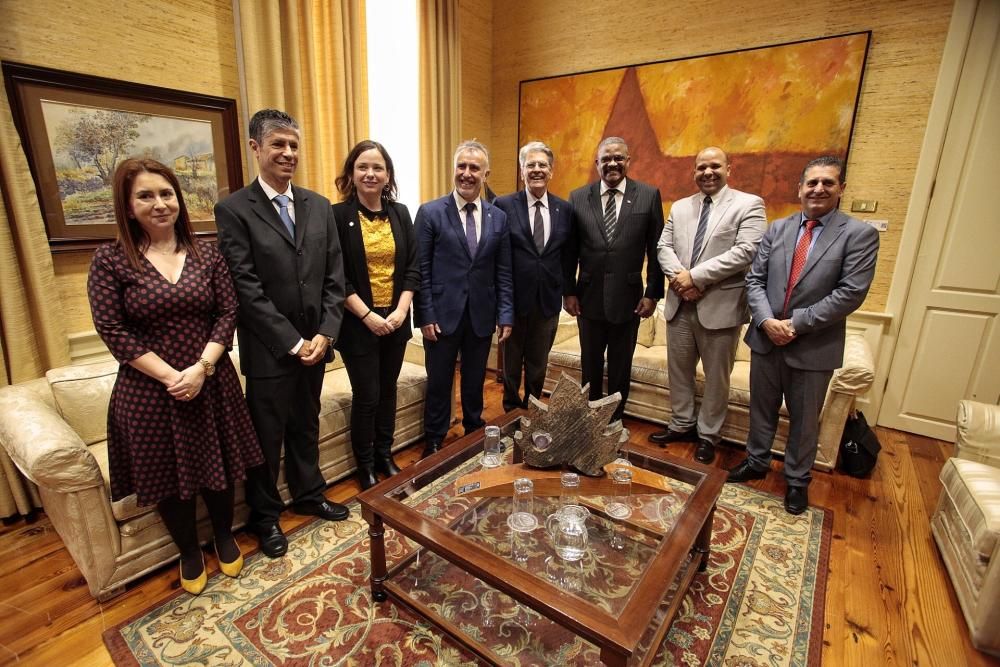 Pleno en el Parlamento de Canarias.