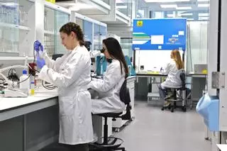 La Escuela de Doctorado de la UCAM, segunda que acredita la Aneca en España