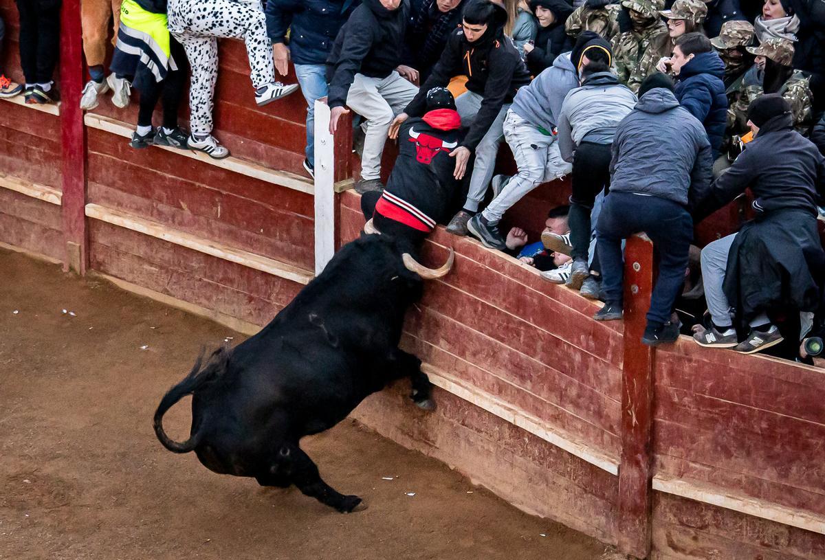 Momento de la cogida en la plaza de toros de Ciudad Rodrigo.