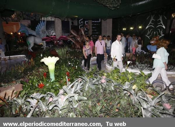 Galeria de Imágenes: Marina d'or fiesta de bienvenida del verano