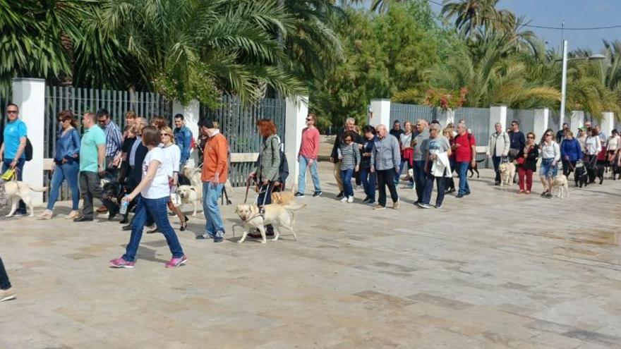 Cerca de un centenar de invidentes hacen un recorrido accesible con perros guía