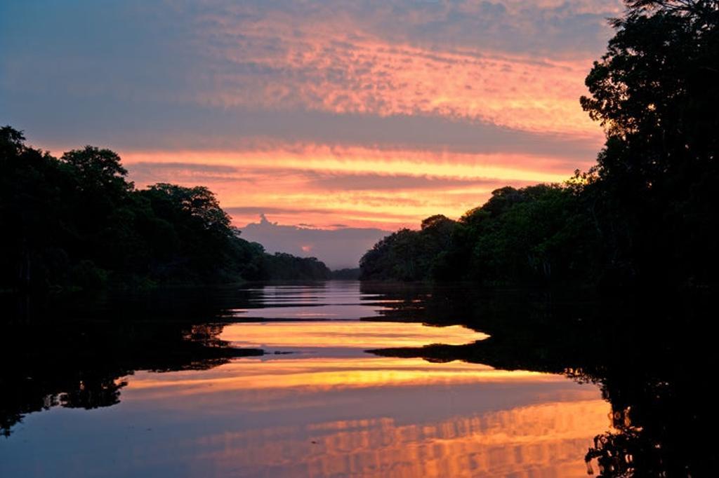 Pacaya-Samiria, Perú