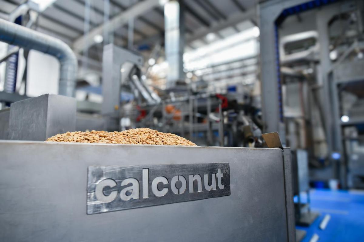 Instalaciones de Calconut en Mutxamel.