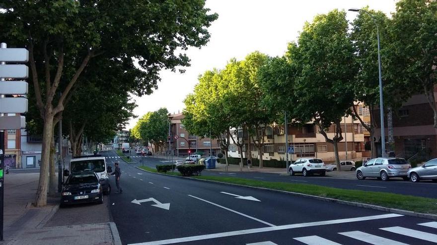 La avenida del Cardenal Cisneros, esta mañana.