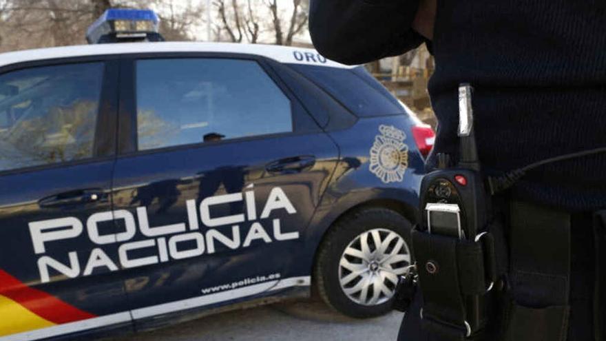 Un agente y un coche patrulla de la Policía Nacional.