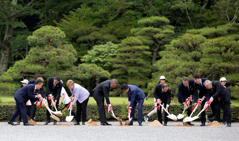 Obama, Renzi, Merkel, Cameron, Juncker, Abe, Hollande y Tusk, entre otros, plantan árboles en una visita al santuario Ise Jingu, en Japón.