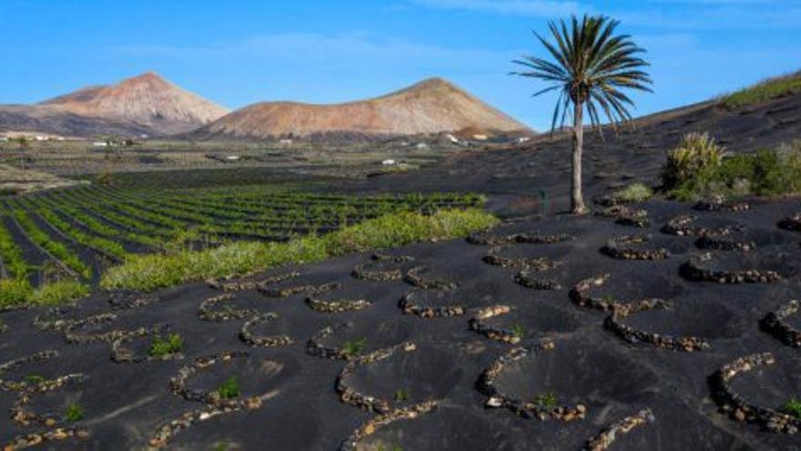 La Geria, entre los premiados por Endecan