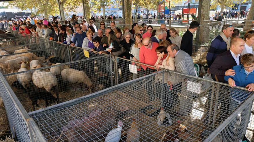 Mallorcas größter Markt: Dijous Bo soll gesitteter ablaufen