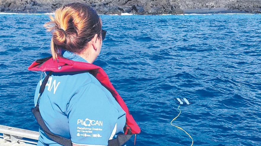 Ciencia, tecnología y economía azul para recuperar la vida en las fajanas del volcán de La Palma