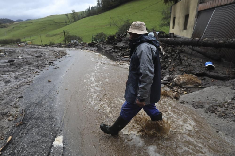 Temporal en Asturias: Un argayo sepulta una ganadería en Salas