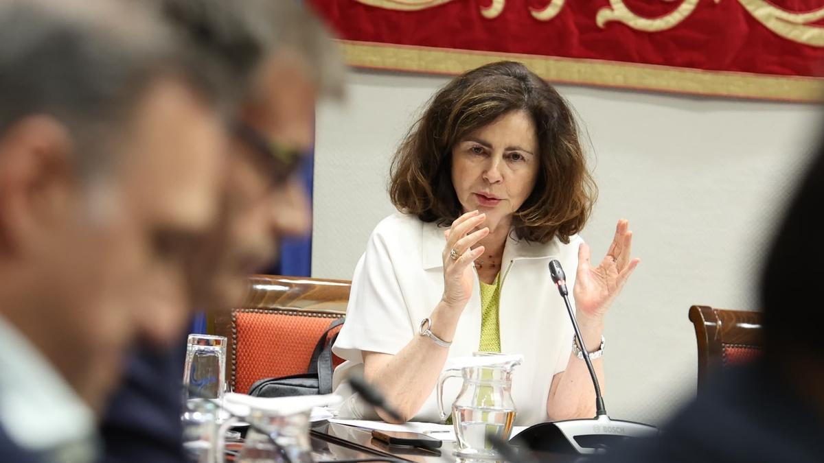 Matilde Asián, consejera de Hacienda y Relaciones con la Unión Europea, en la comisión del Parlamento de Canarias.