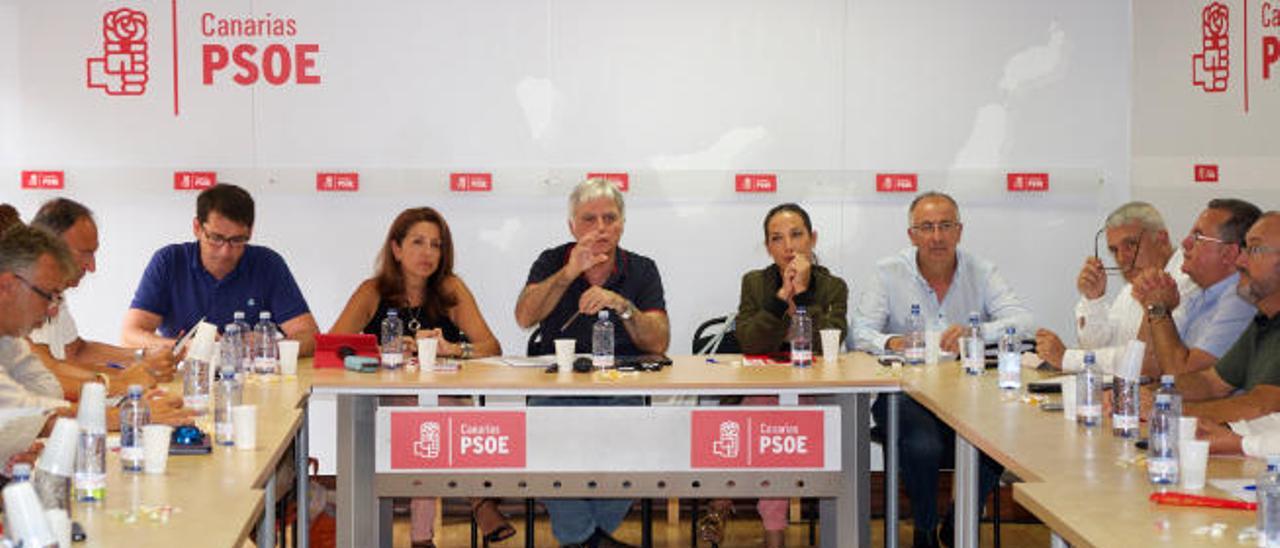 El PSOE exige un informe ambiental del Gobierno canario sobre el suelo