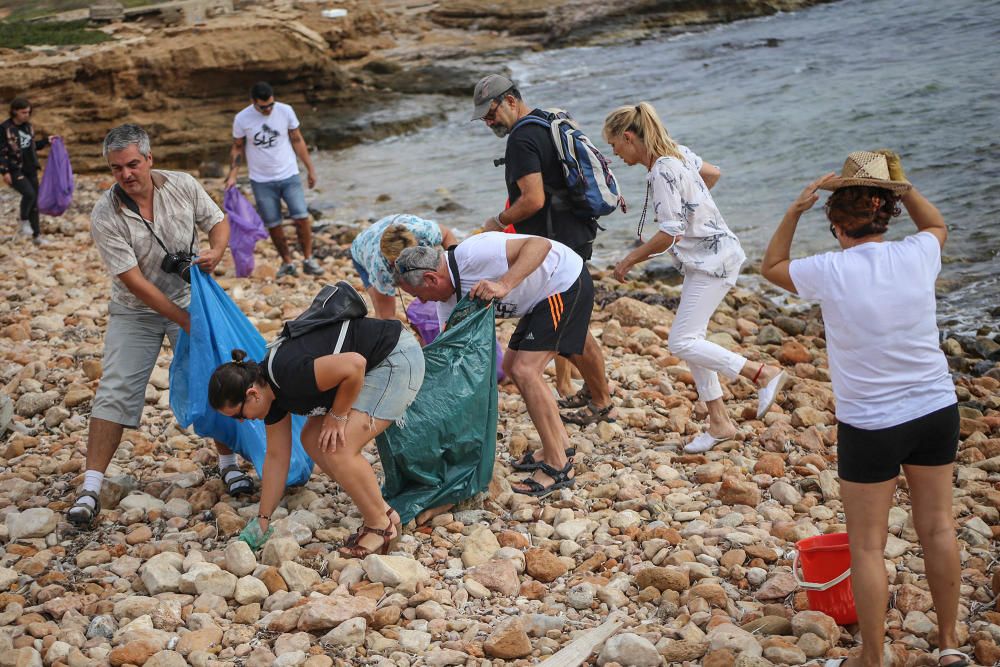 Limpieza del palmeral de Ferrís en Torrevieja