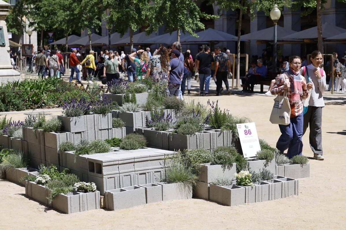 Les imatges de l'últim dissabte de Temps de Flors 2026