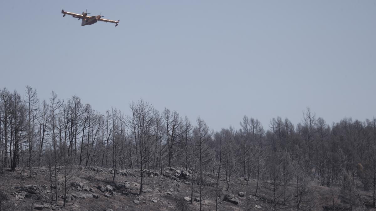 El riesgo de incendio forestal en el Mediterráneo se ha duplicado en 40 años