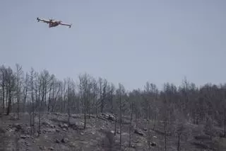 El riesgo de incendio forestal en el Mediterráneo se ha duplicado en 40 años