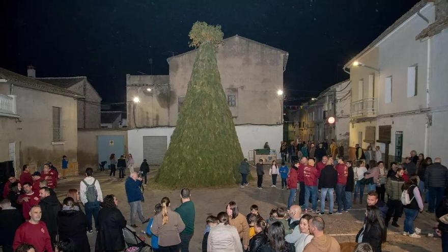 Cerdà aplaza la 'cremà' de la hoguera de Sant Antoni por tercera vez