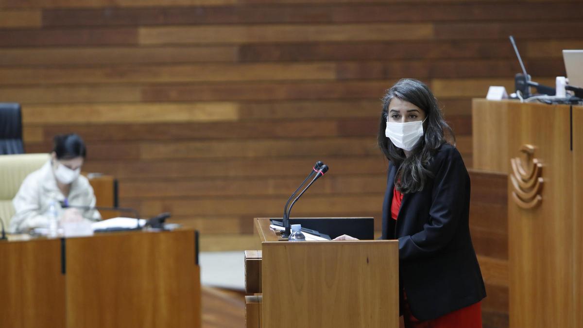 Irene de Miguel, en una imagen durante el Debate de Estado de la Región