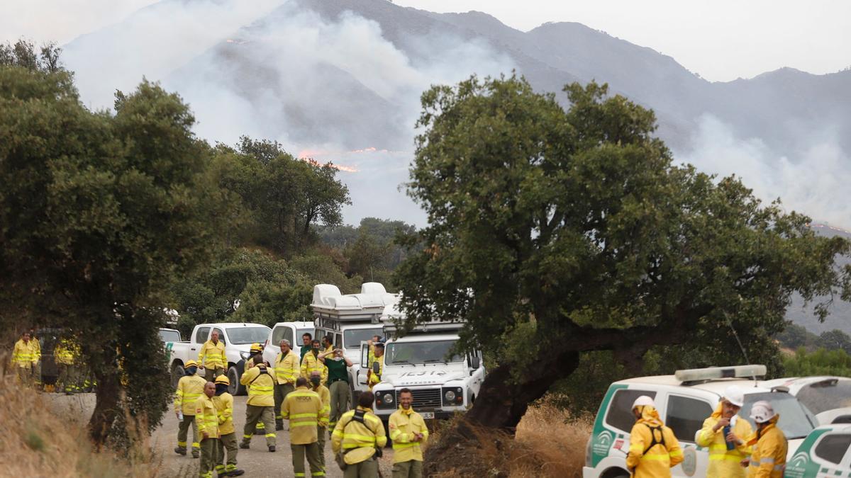 El incendio, visto desde un mirador de Casares.