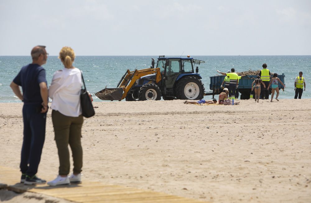 Carrera a contrareloj para tener a punto la playa de Canet d'En Berenguer