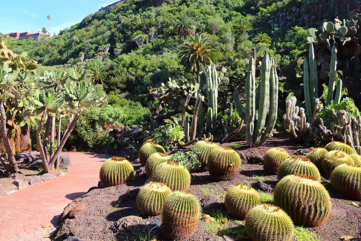 Gran Canaria - Jardin Canario