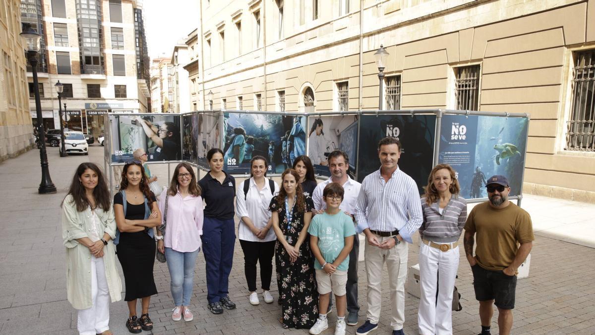 VÍDEO: El Acuario de Gijón enseña "lo que no se ve" de su trabajo con una exposición fotográfica a pie de calle
