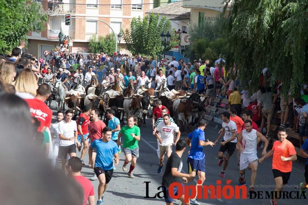 Quinto encierro en Moratalla