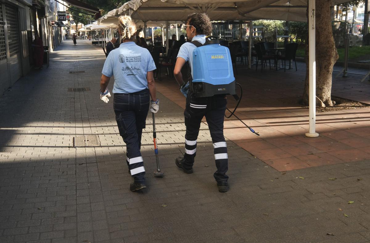 Trabajos de desratización en la zona del parque de Santa Catalina, en Las Palmas de Gran Canaria Trabajos de desratización en la zona del parque de Santa Catalina, en Las Palmas de Gran Canaria