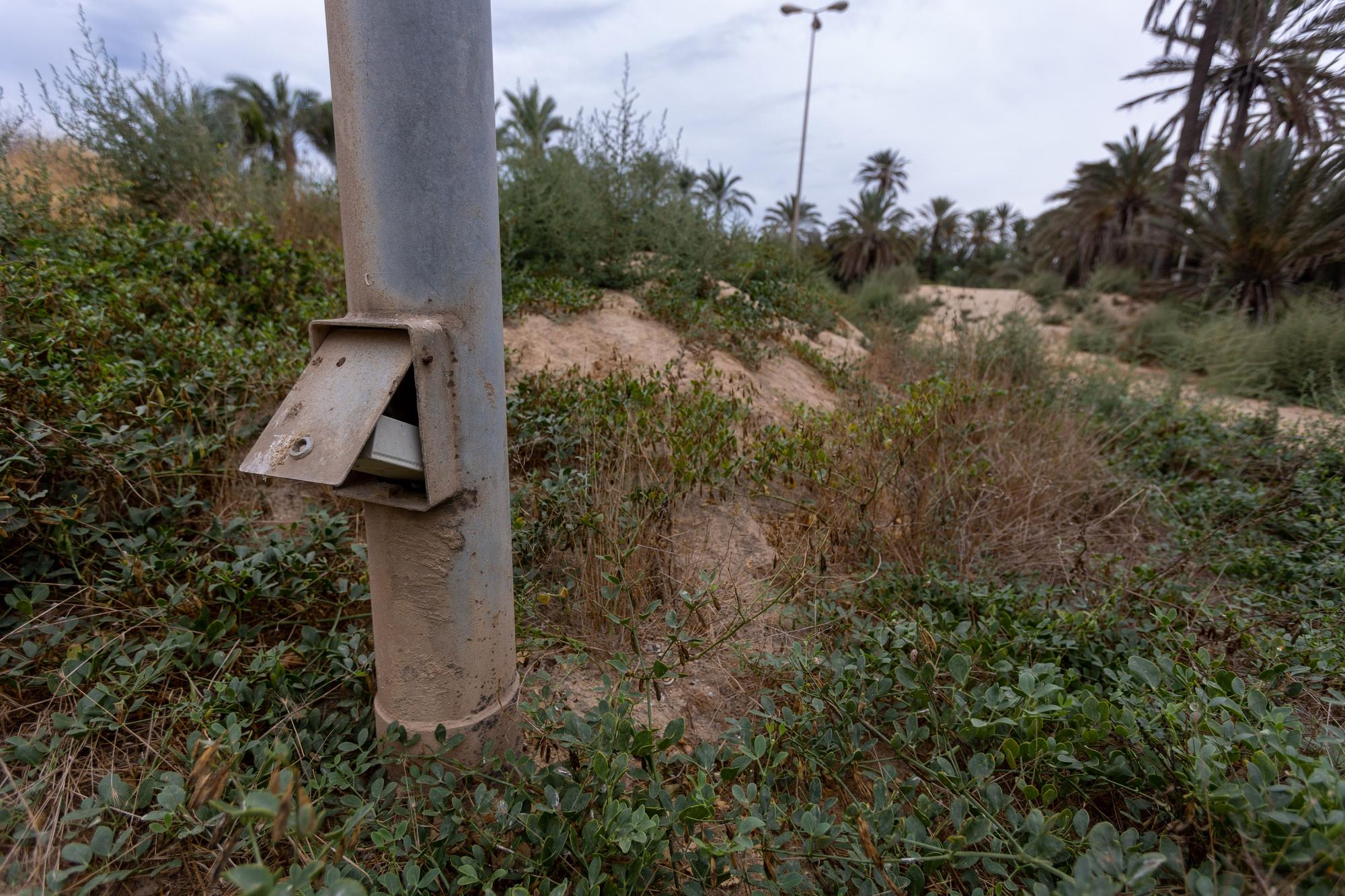 El abandono del Parque El Palmeral de Alicante