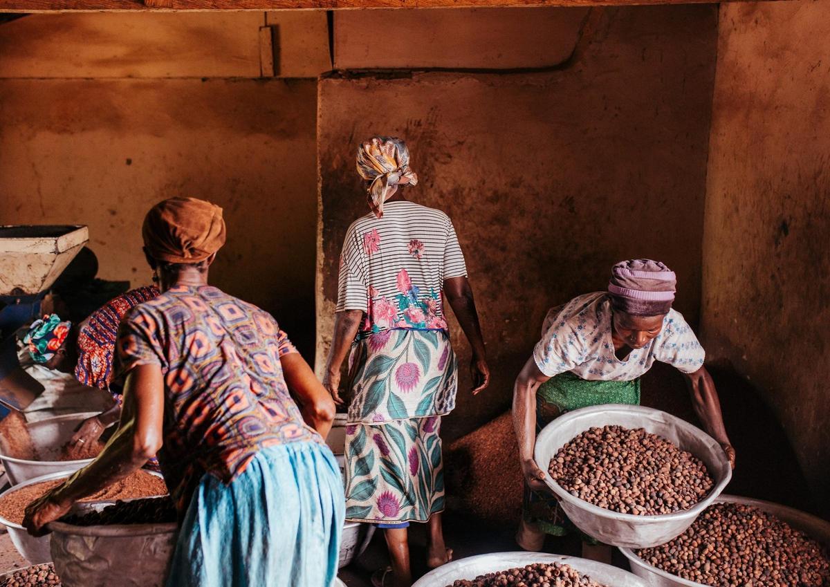 Mujeres de la cooperativa Kanvli, de Acra (Ghana), con los frutos del karité, baobab y moringa, árboles sagrados en África.