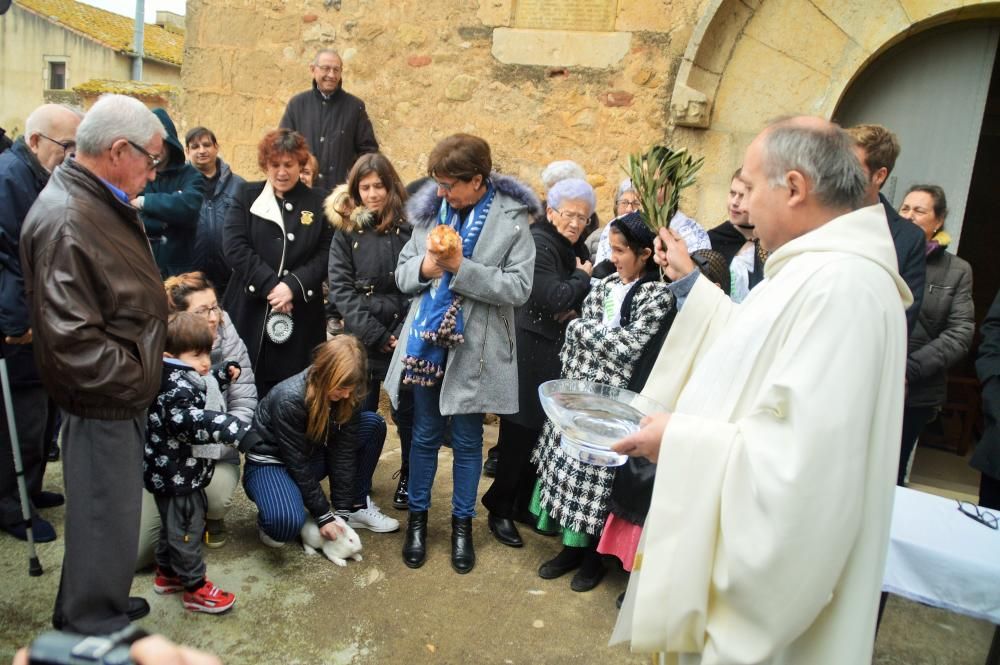 Vilatenim compleix la tradició de Sant Antoni