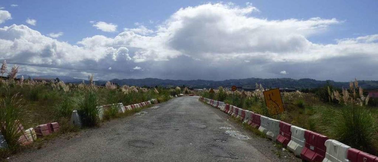 Estado del polígono de Bobes, abandonado y tomado por los plumeros de la Pampa.